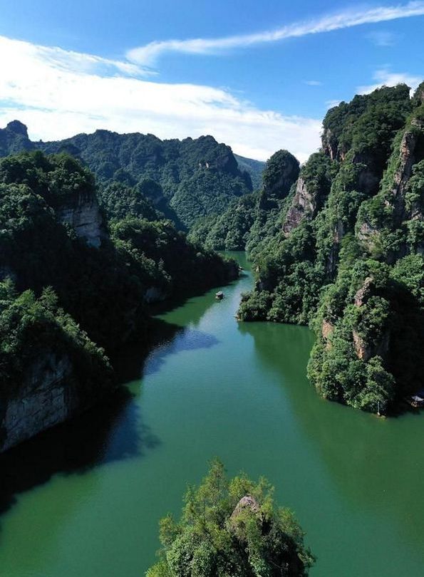 张旅集团